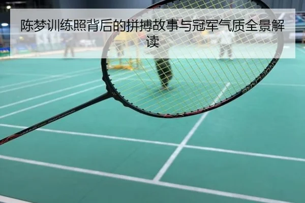 陈梦训练照背后的拼搏故事与冠军气质全景解读